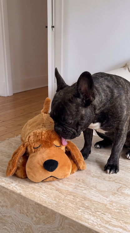 Peluche con latido de corazón antiestrés
